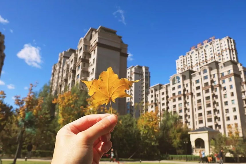 秋日温情|用心营造温暖，许您幸福且美好的日常