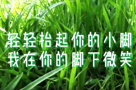 欣汇龙 | 少一个脚印 多一份芬芳