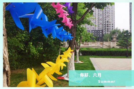 欣 · 情 | 欣汇龙那些平凡而感动的事儿（二）