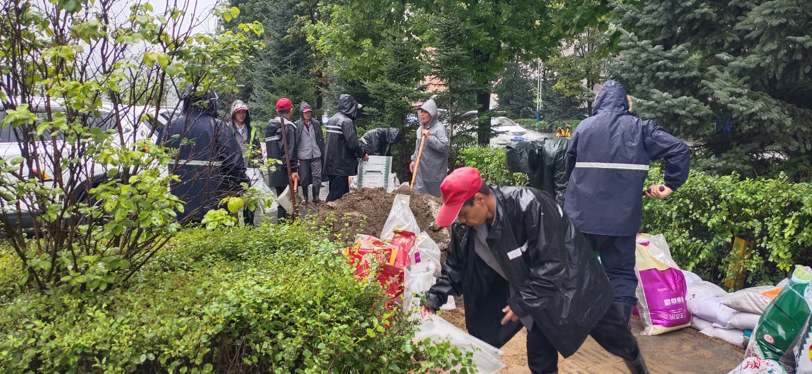 迎战强降雨！哈市150+物业服务企业逆水冲锋全力守护