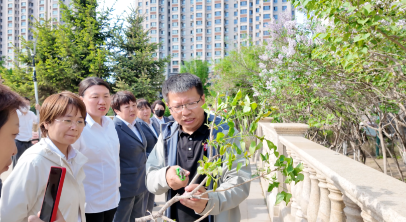 以训促学强技能，精耕细作优景观｜开花乔木修剪专项培训圆满落幕